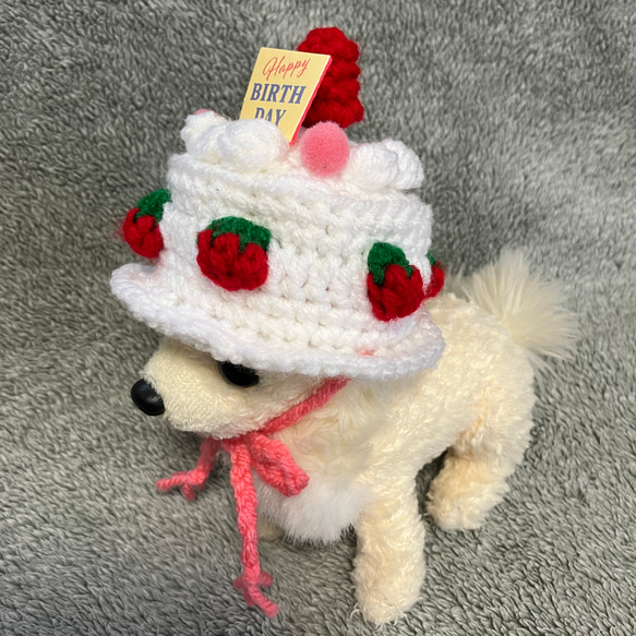 超小型犬用帽子❤️苺のケーキ❤️お誕生日ケーキ 3枚目の画像