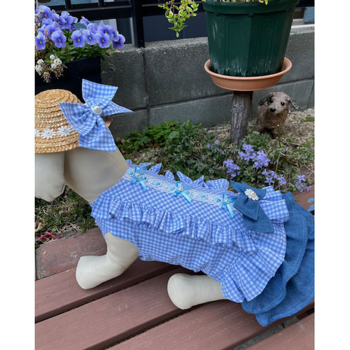 美品 maonosuke ベルト付 わんぴーす 水色 ギンガムチェックの