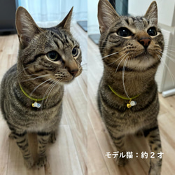 小さな湯呑みチャーム付き♪ お茶の猫首輪 軽い セーフティクリップ 調整可能 ハンドメイド☆ 4枚目の画像