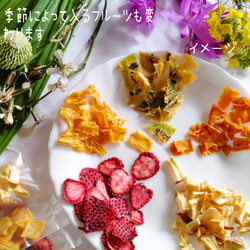 【季節限定】dried fruit flavors mix 3 1枚目の画像