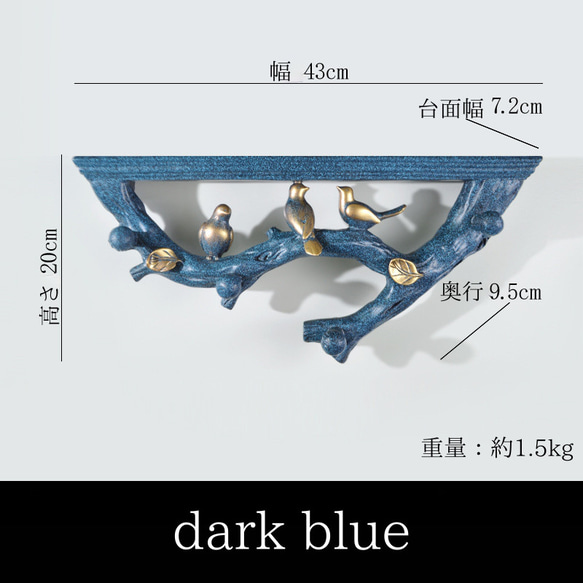  第11張的照片