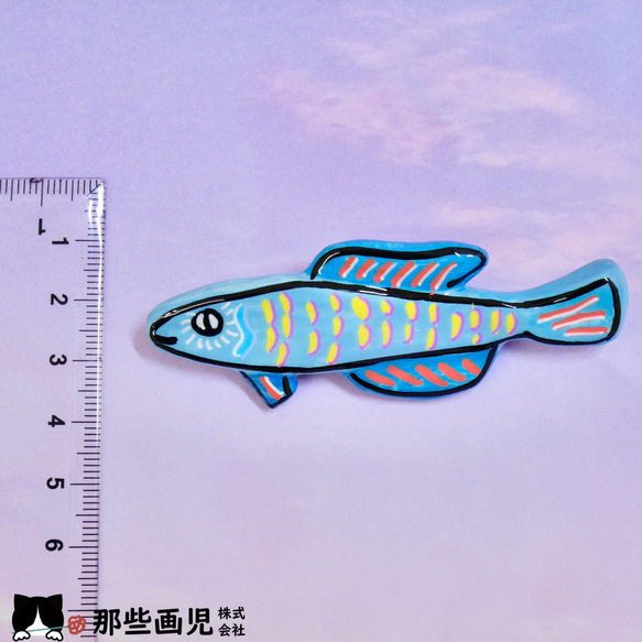 ブローチセット『自然博物』魚 12枚目の画像