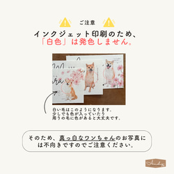 うちの子名刺／ペット名刺　30枚　ハンドメイド　スクエアデザイン 8枚目の画像