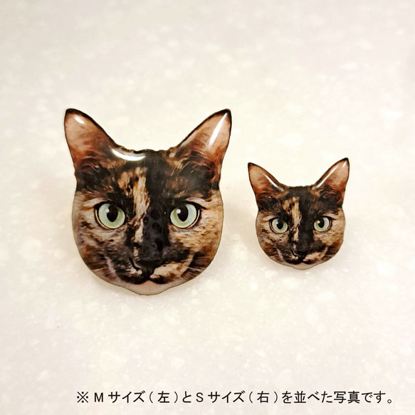 " サビ猫 " ピンバッジ【Mサイズ】 3枚目の画像
