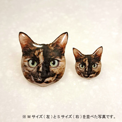 サビ猫【Sサイズ】ピンバッジ 3枚目の画像