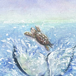 シャチのしっぽで遊ぶウミガメ 2枚目の画像