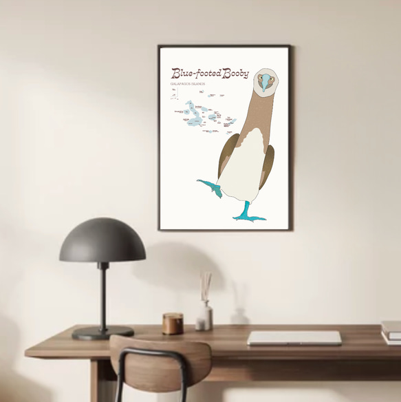ガガラパゴスの青い足の鳥・ブルーフッテッド・ブービー 15枚目の画像