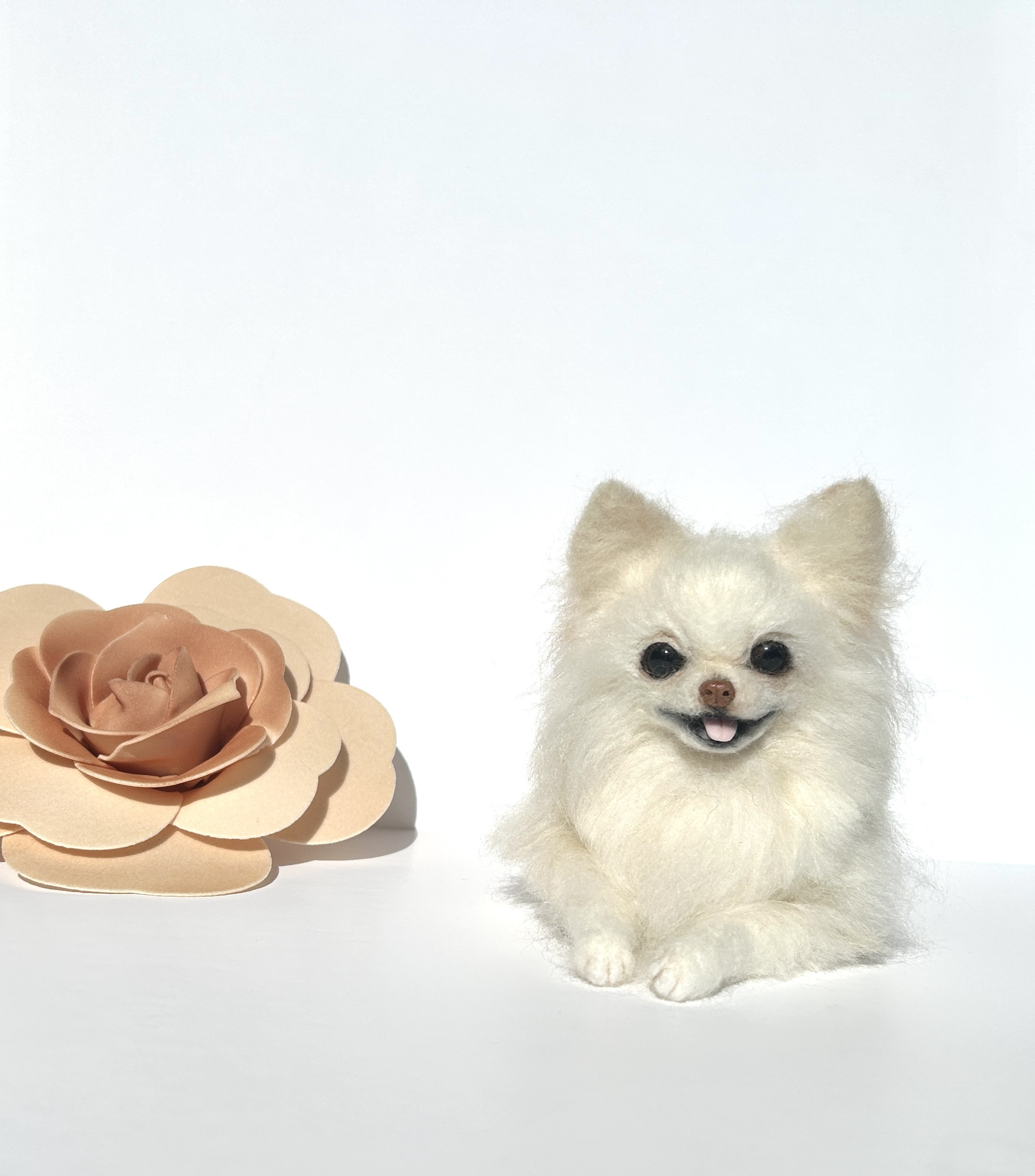 羊毛フェルト リラックスポメラニアン ケース付き 白ポメ 羊毛フェルト