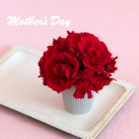 母の日早割4月20日まで】プリザーブドフラワーミニアレンジ《レッド