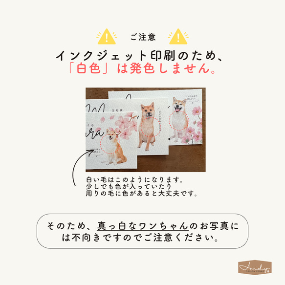 うちの子名刺／ペット名刺　30枚　ハンドメイド　スクエアデザイン② 9枚目の画像