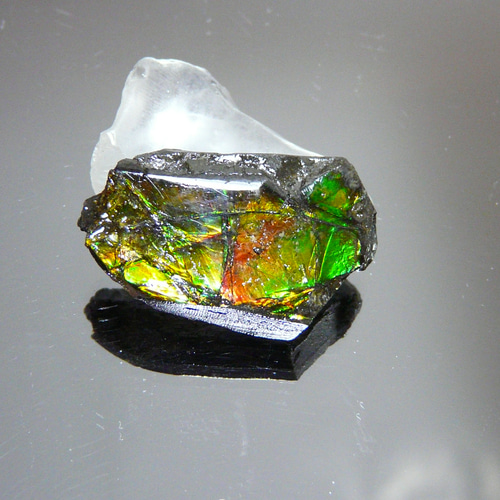 アンモライト　原石　2 アンモライト 原石 2 【公式通販】