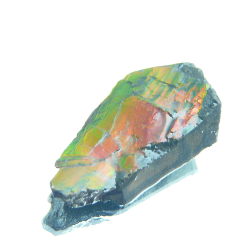 アンモライト　原石　11 楽天市場】アンモライト原石標本 : アンモライト研究所