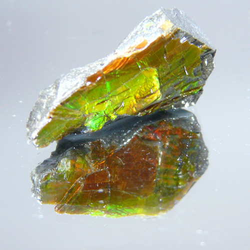 R263 【カナダ アルバート州産出】 天然アンモライト 原石 天然石 GEO