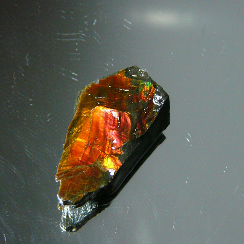 R263 【カナダ アルバート州産出】 天然アンモライト 原石 天然石 GEO