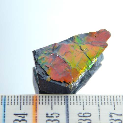 アンモライト　原石　2 アンモライト｜Crysterra