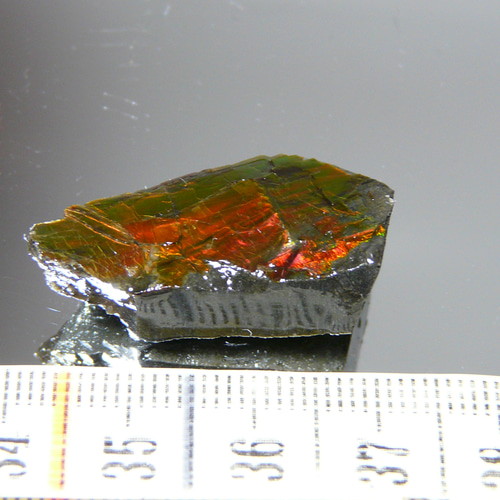 R263 【カナダ アルバート州産出】 天然アンモライト 原石 天然石 GEO