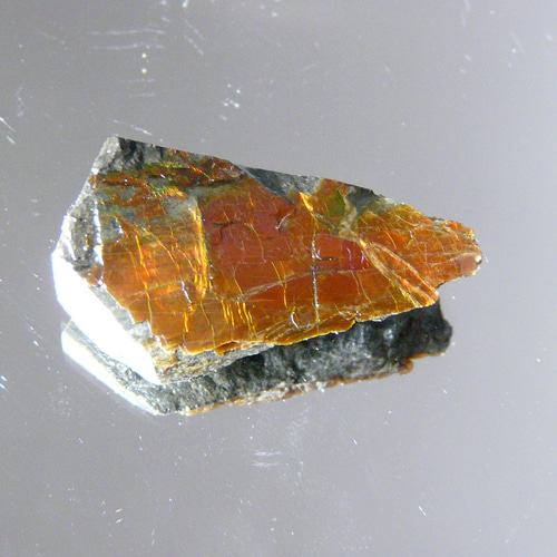 アンモライト原石 アンモライト原石 アンモライト研究所【化石ジュエリー宝石販売ルーム】