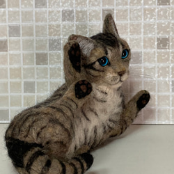 受注商品 キジトラ 子猫 猫  戯れてる  羊毛フェルト ハンドメイド 9枚目の画像