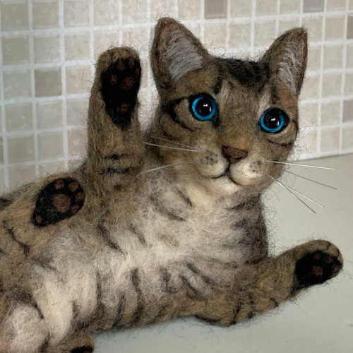 Amazon | funwari□□□ 羊毛フェルト キジトラ 薄めカラー 仔猫