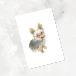 フォロワー様は価格から10％OFF【ペット画オーダー制作（A5用紙　１匹描き）】 4c3226cbfcd87a9744423d3ff99b6e