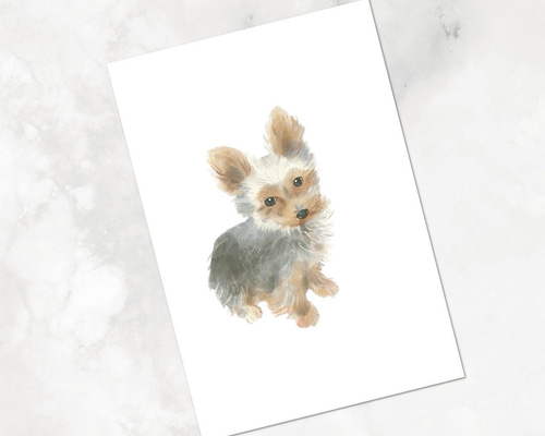 名入無料 ペット デジタル似顔絵 オーダーメイド 犬 猫 名入無料 ペット デジタル似顔絵 オーダーメイド 犬 猫