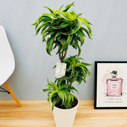 48c4c417e0ad85281ab075c575da5a