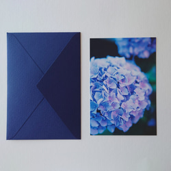 紫陽花③　グリーティングカード　ポストカード　写真　バースデー　誕生日　文字入れサービス有り 5枚目の画像