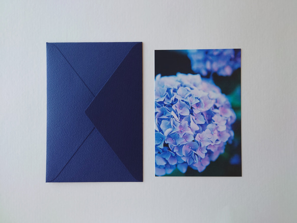 紫陽花③　グリーティングカード　ポストカード　写真　バースデー　誕生日　文字入れサービス有り 5枚目の画像