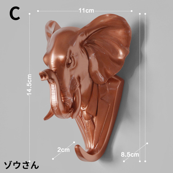  第8張的照片