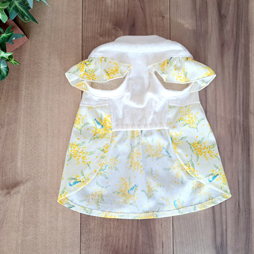 犬服～ミモザと青い鳥ギャザーワンピース 春夏 受注製作(XS～TM) ※袖