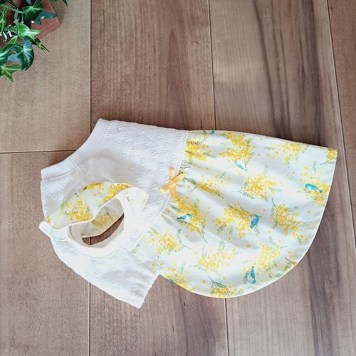 犬服～ミモザと青い鳥ギャザーワンピース 春夏 受注製作(XS～TM) ※袖