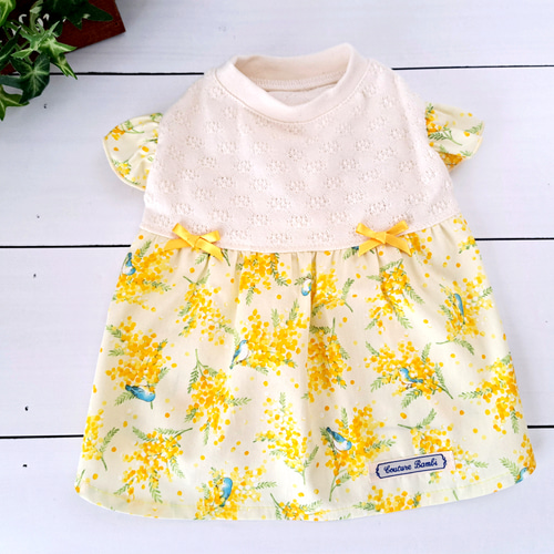 犬服ハンドメイド♡ミモザと小鳥ちゃんワンピースオーダー♡みるくちゃん♡ 犬服ハンドメイド♡ミモザと小鳥ちゃんワンピースオーダー