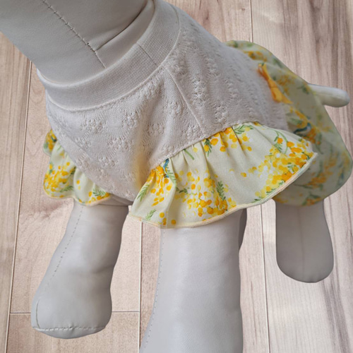 犬服～ミモザと青い鳥ギャザーワンピース 春夏 受注製作(XS～TM) ※袖