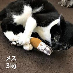 猫のおもちゃ けりけり●30チェック 4枚目の画像