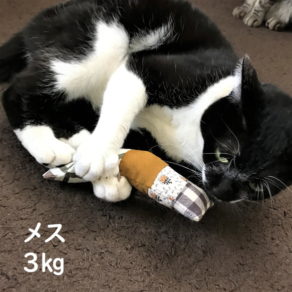 猫のおもちゃ けりけり●32ボーダー＆ドットB 5枚目の画像