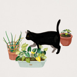 ぶら下げアート | ABOO YANG 散歩に来て | 黒猫捜査 2枚目の画像