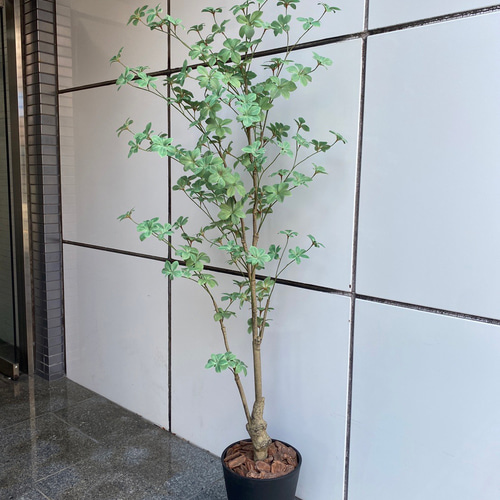 光触媒 人工観葉植物 ウォールグリーン フェイクグリーン