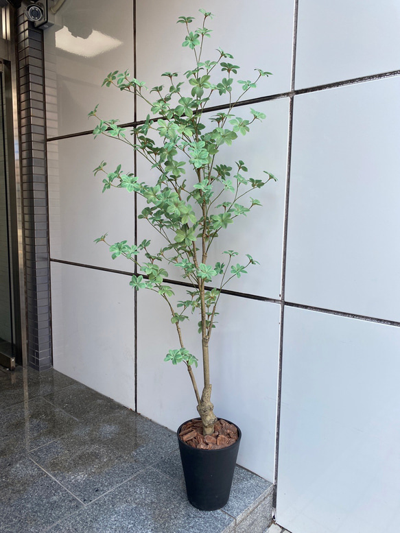 光触媒 人工観葉植物 ウォールグリーン フェイクグリーン ドウダン145