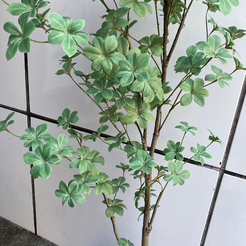 光触媒 人工観葉植物 ウォールグリーン フェイクグリーン ドウダン145 