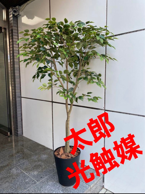 光触媒 人工観葉植物 ウォールグリーン フェイクグリーン