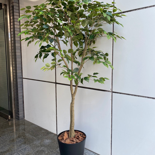 光触媒人工観葉植物ウォールグリーンフェイクグリーンベンジャミン145