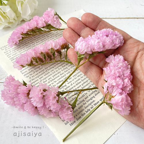 増量 】 スターチス シフォンピンク 和歌山県産 【ドライフラワー