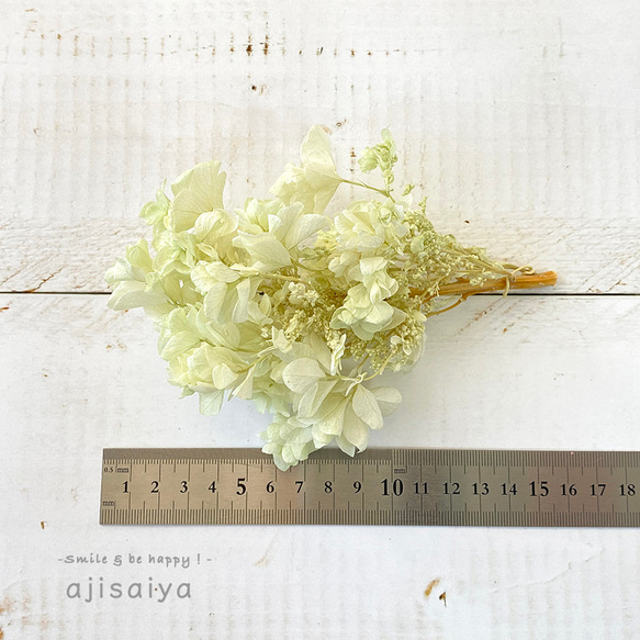 かしわばあじさい　ホワイトグリーン　【プリザーブドフラワー】　紫陽花・アジサイ 3枚目の画像