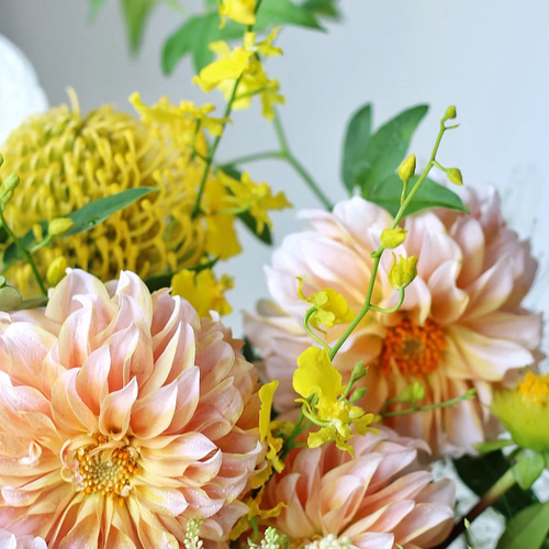 ダリアとアンスリウムのオレンジブーケ(ブートニア付) ダリアとアンスリウムのオレンジブーケ(ブートニア付) オレンジ