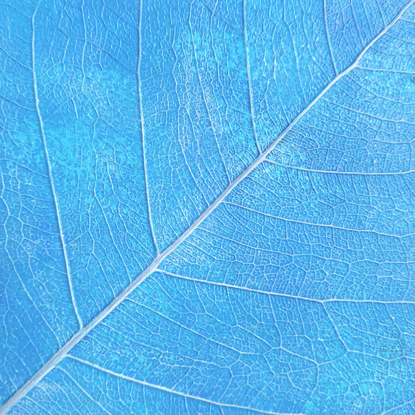 ブルー｜菩提樹の葉アート 6枚目の画像
