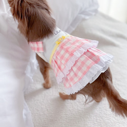ピンクギンガムチェック× イエローリボン　ワンピース　桜色　犬服ワンピース 13枚目の画像