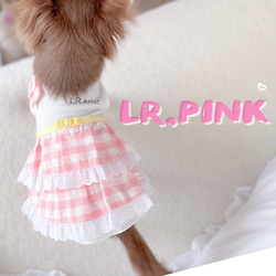 ピンクギンガムチェック× イエローリボン　ワンピース　桜色　犬服ワンピース 8枚目の画像