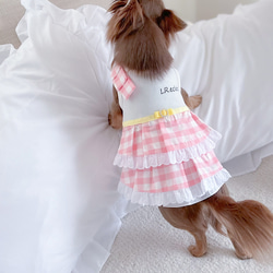 ピンクギンガムチェック× イエローリボン　ワンピース　桜色　犬服ワンピース 12枚目の画像