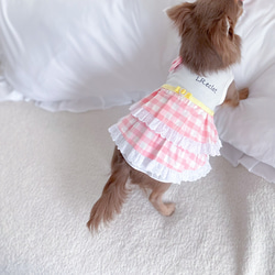 ピンクギンガムチェック× イエローリボン　ワンピース　桜色　犬服ワンピース 11枚目の画像
