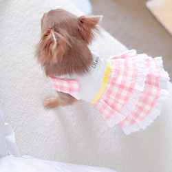 ピンクギンガムチェック× イエローリボン　ワンピース　桜色　犬服ワンピース 9枚目の画像